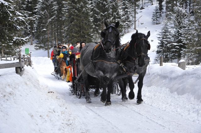 Pferdeschlittenfahrt oder Kutschenfahrt im Landhotel Postgut - in Tweng zwischen Obertauern und Großeck/Speiereck