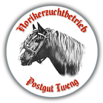 Reithotel Postgut _ Norikerzuch im Lungau