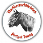 Reithotel Postgut _ Norikerzuch im Lungau